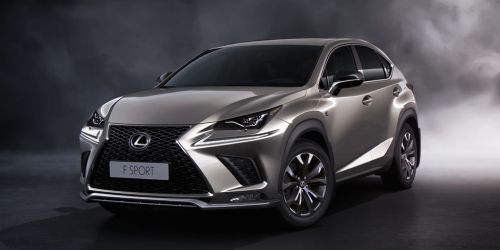 NX 300