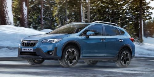 XV