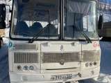ПАЗ 3205* Автобус  2023