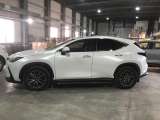 Lexus NX 250 Executive 2022