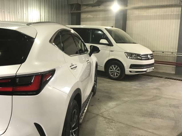 Lexus NX 250 Executive 2022