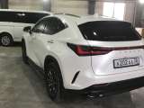 Lexus NX 250 Executive 2022