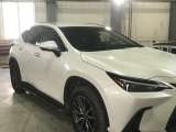 Lexus NX 250 Executive 2022