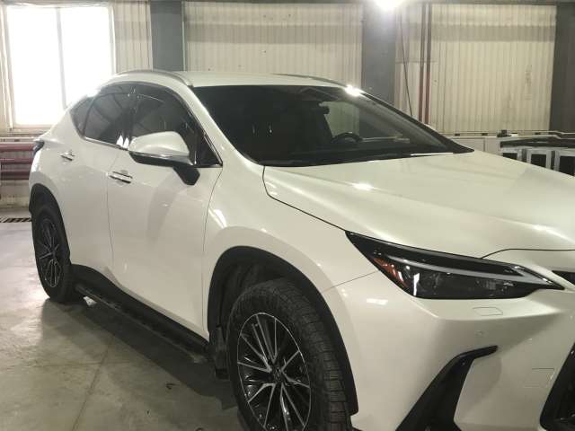 Lexus NX 250 Executive 2022