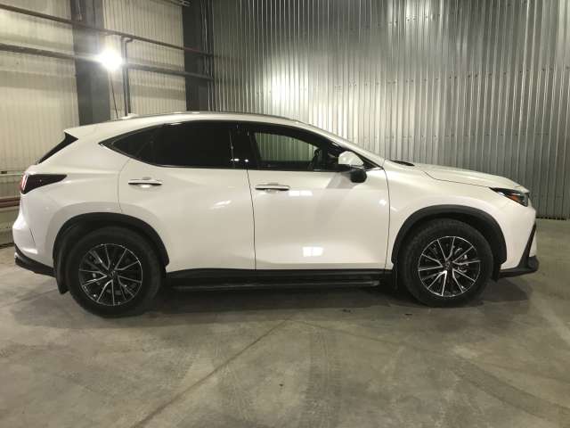 Lexus NX 250 Executive 2022